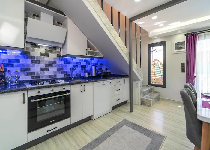 ヴィラ Manolya フェティエ